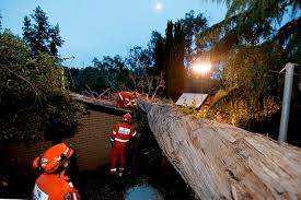 severe weather response