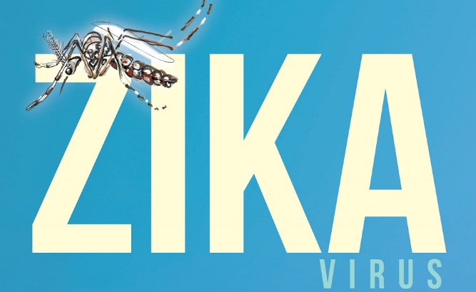 Expert Panel for Zika Preparedness