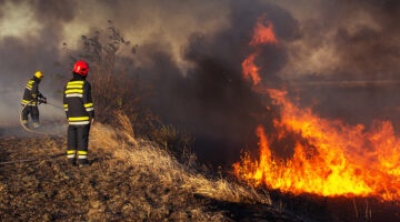 Wildfire notification and preparedness