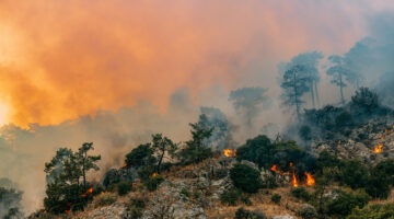 wildfire ravaging a mountainous region.