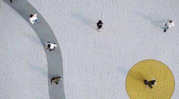 Risk, resilience, and security – the three key functions of public safety technology