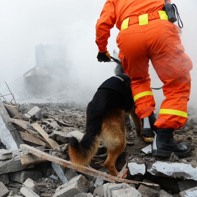 rescue worker searching through rubble with search dog
