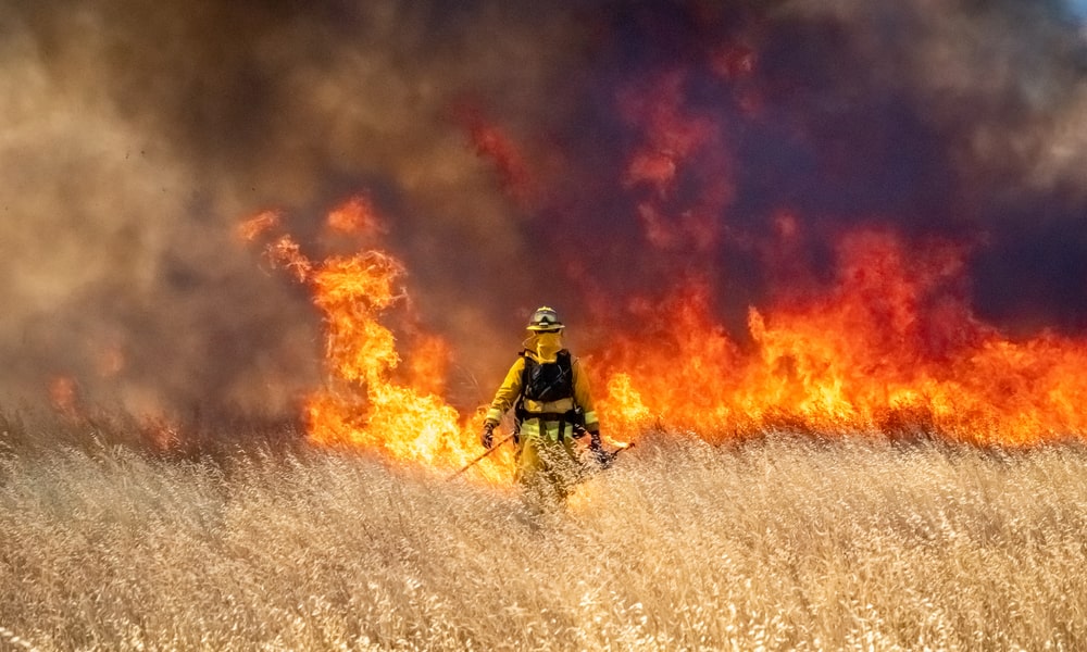Empowering Resilience: Wildfires – Corporate