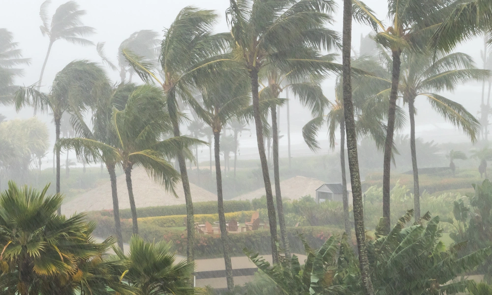 Brevard County reaches more people with targeted emergency alerts