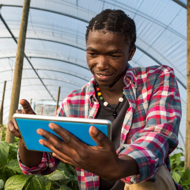 Young African Man Checking Tablet Information In Greenhouse