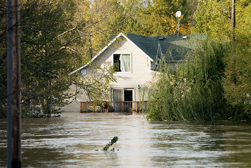 Flood Disaster Web Min