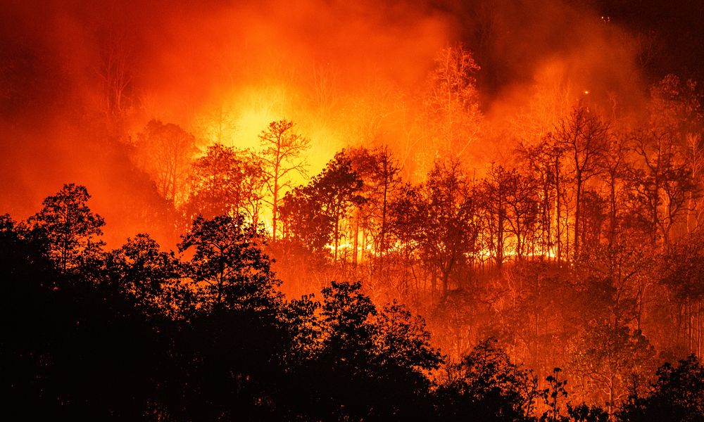 Lunch and learn: North American wildfire trends