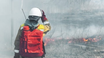 Developing a wildfire response plan