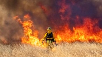 Wildfire In California