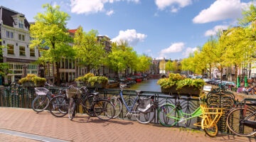 Nokingsday