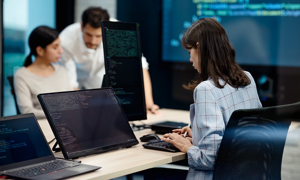 Security and resilience in the expanding risk zone