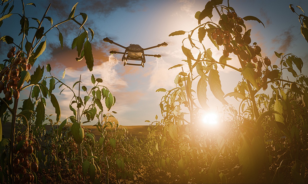 Drone incursions in Poland