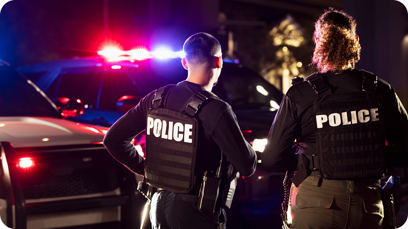 Codered 800x450 Ipaws