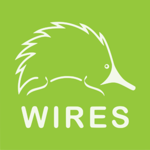 Wires Logo
