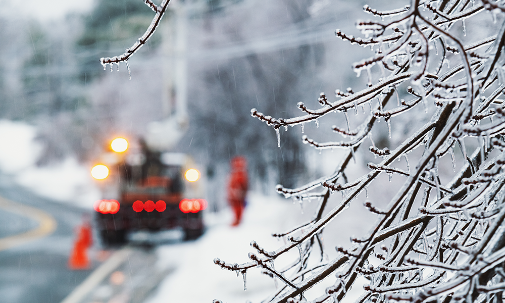 Winter Storm 1000 X 600