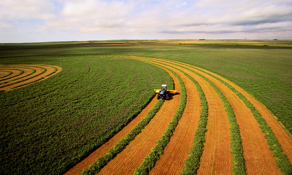 Spring Growing Impacted By Iran 1000 X 600