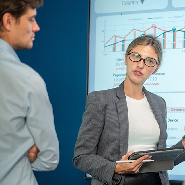 Risk And Resilience 650 X 650