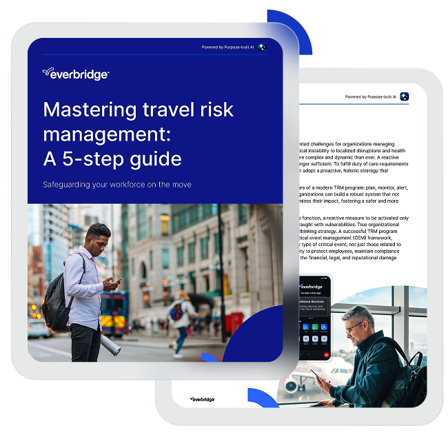 Report Cover Travel Risk Guide 650x650