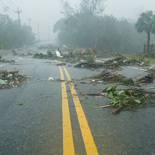 Storm Aftermath