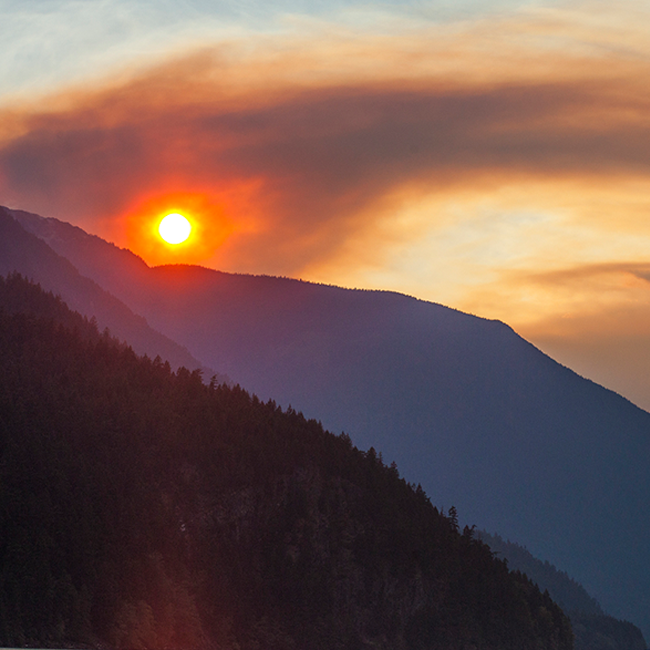 Canadian Smoke 650 X 650