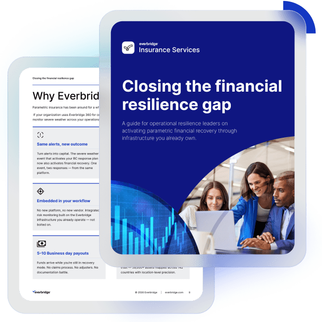 Report Wp En Closing The Financial Resilience Gap 650x650 (2)